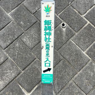 こういう看板、大事！今日はおんばく山や高尾北峰の山標探しが大変だったので、よりありがたく感じました