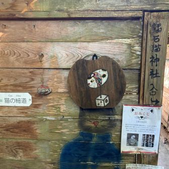 猫の細道へ