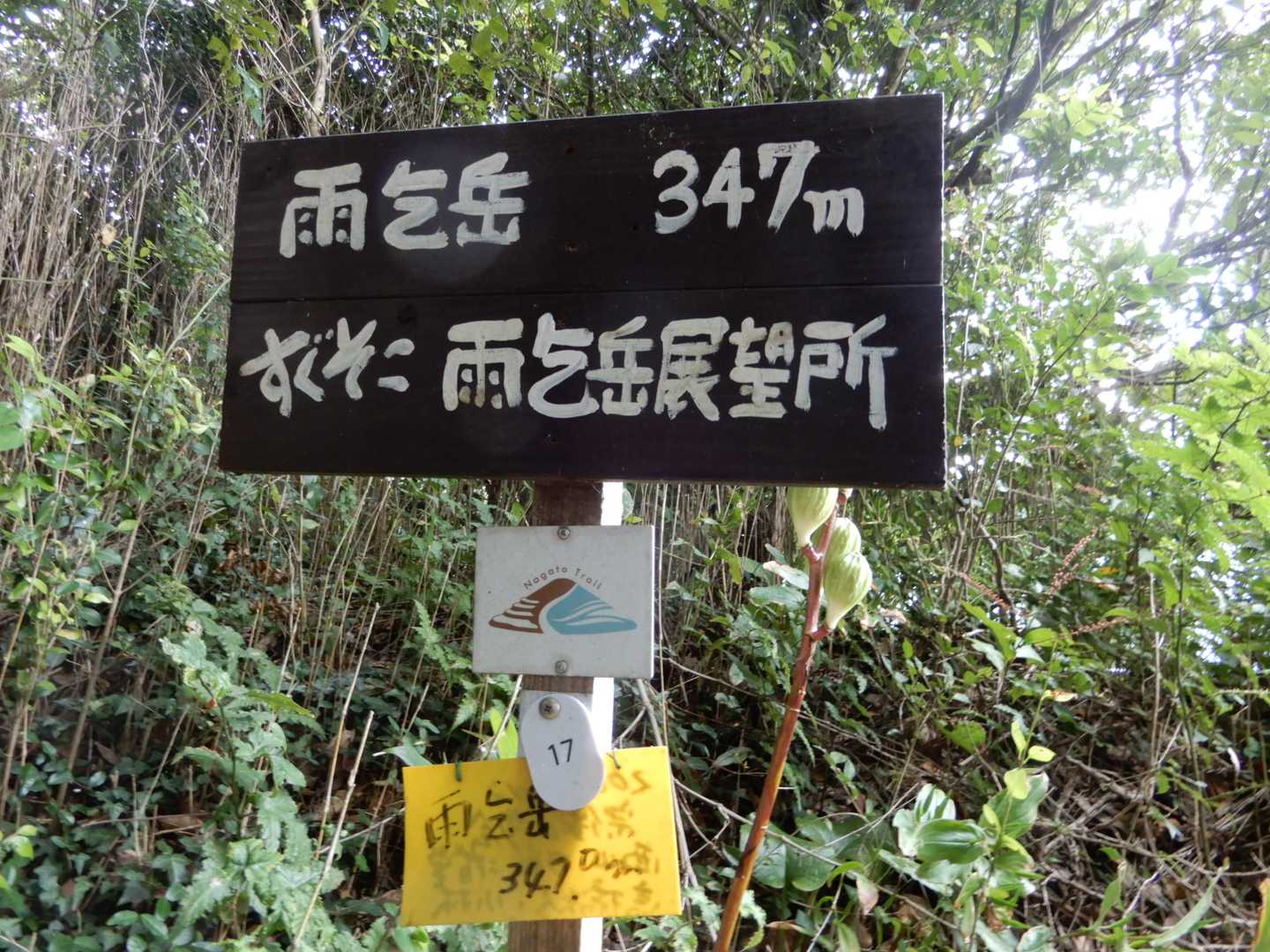 雨乞岳山頂