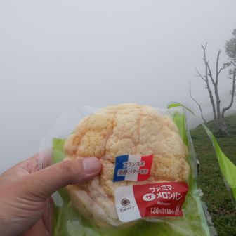 最近お気に入り。