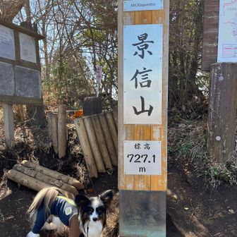 あーやだやだ早くとれ！