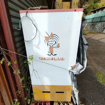 リボンオレンジ