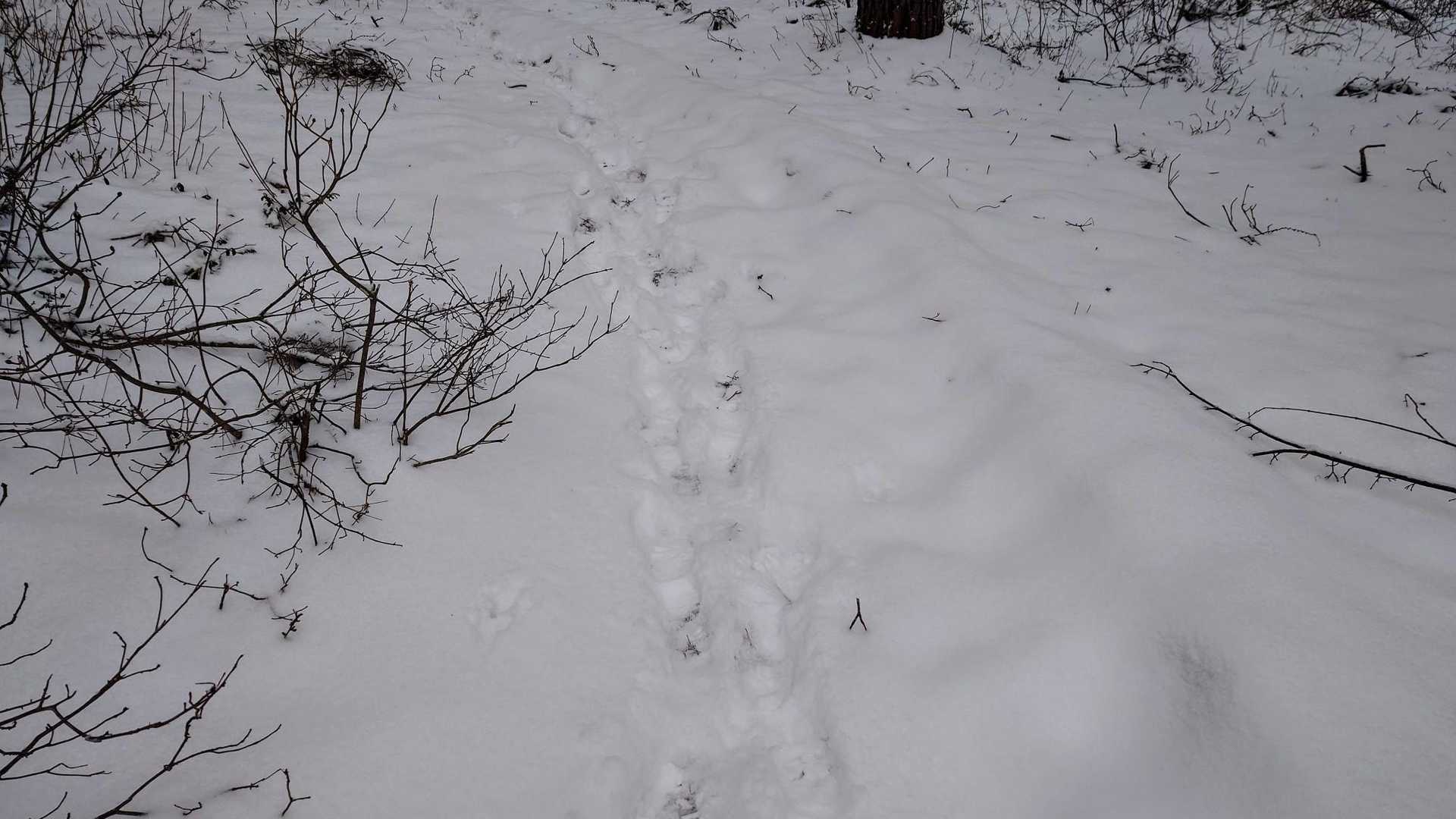 駐車場から登山口までの林間ルートもこの通り。
3月下旬にこの積雪が見られるとは…