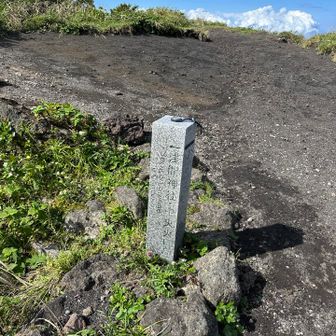 見落とした🥺
