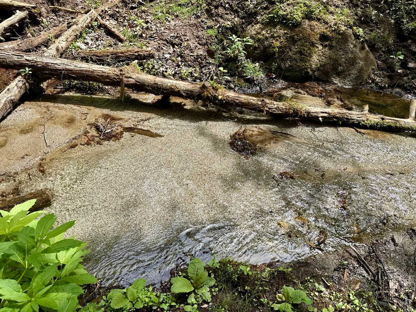 水の透明度がハンパない✨💧