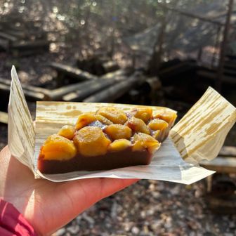 日向に移動して仙太郎の栗むしを頂きました