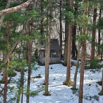 温泉神社が見えました、ほぼ下山