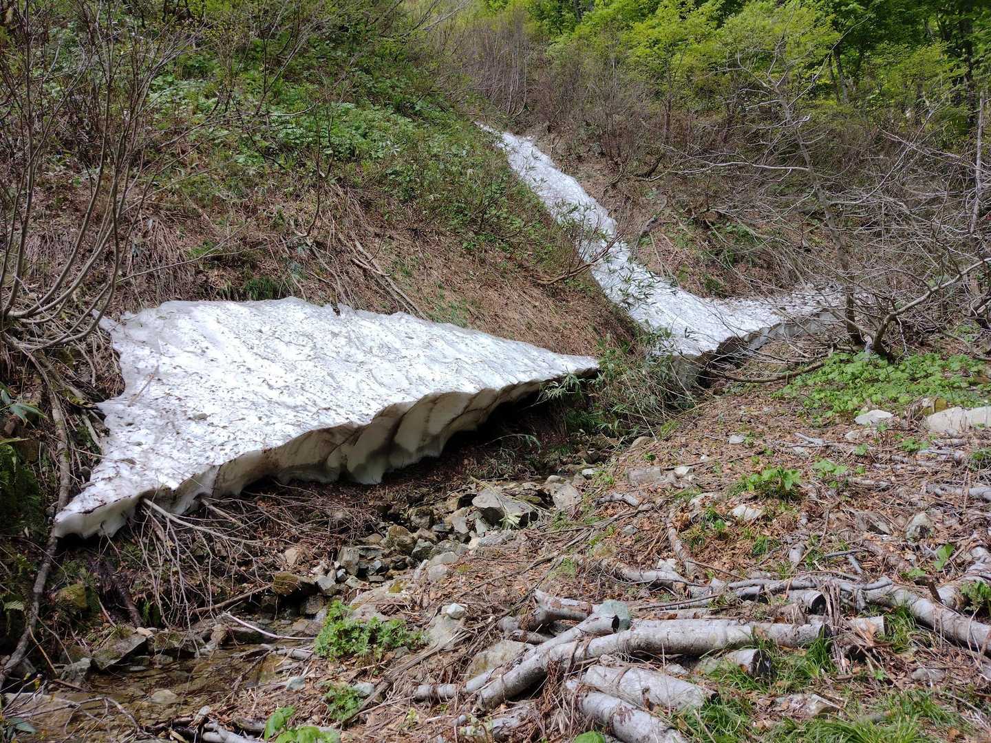 小原峠-赤兎山 往復コースの写真