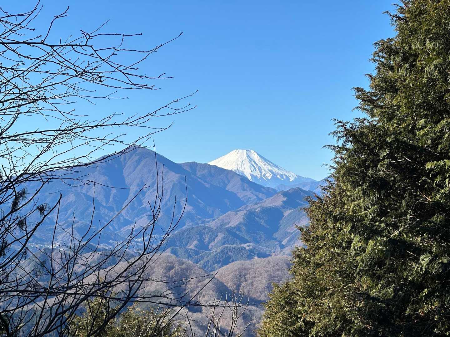 右を向くとドーンと富士山🗻