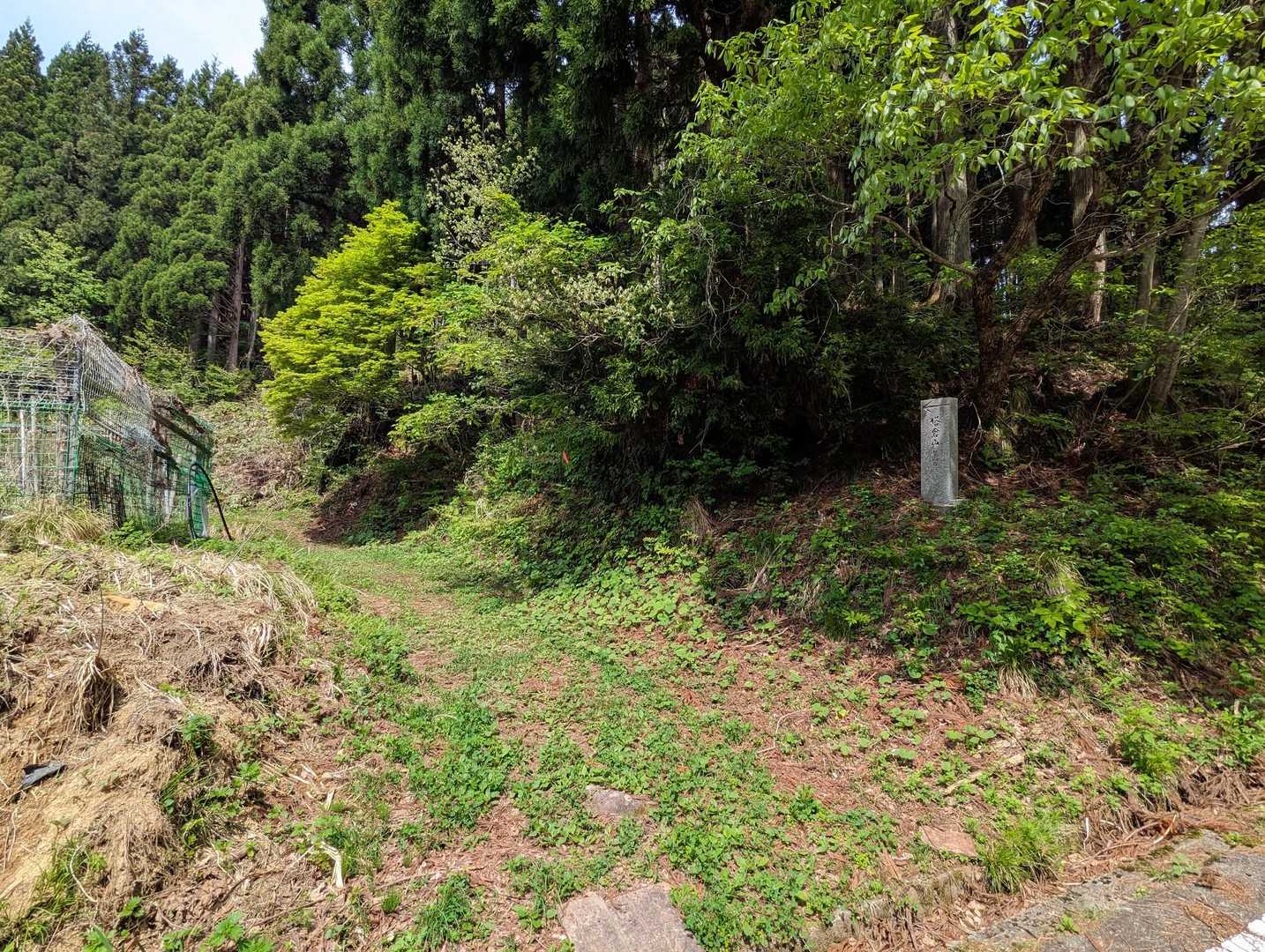 塔倉山 往復コースの写真
