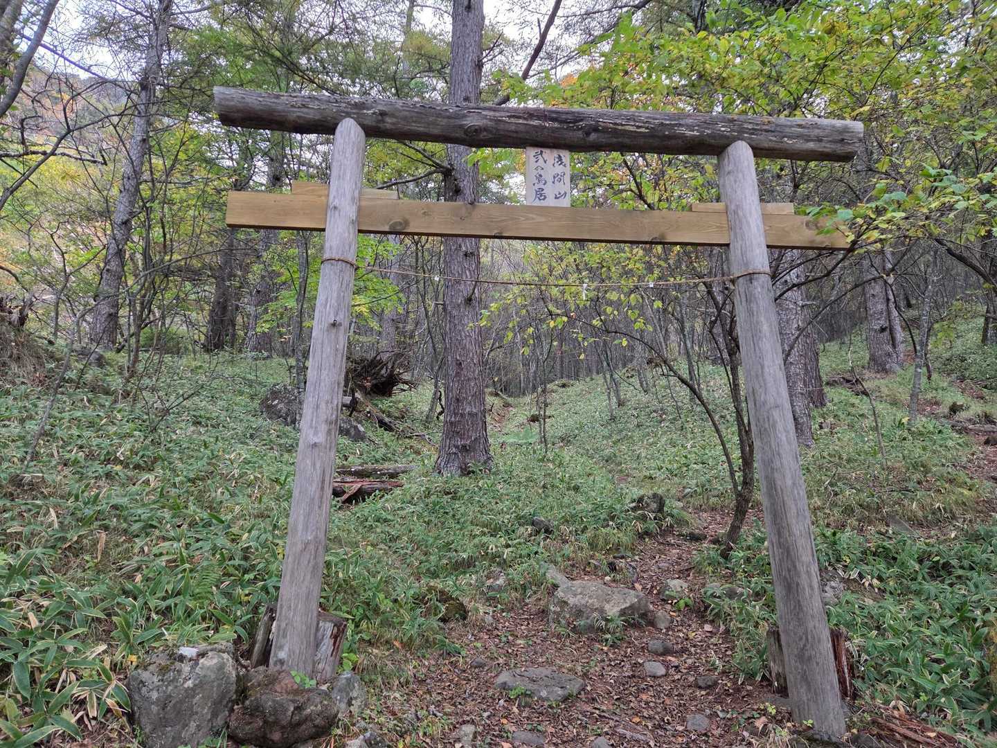 浅間山荘登山口-浅間神社-賽の河原-Jバンド-鋸岳-蛇骨岳 往復コースの写真