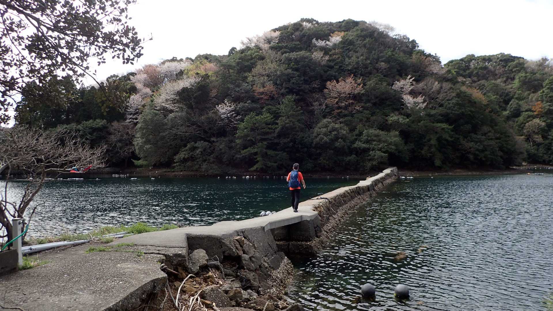 竈神社-遠見山-彦神社 縦走コースの写真