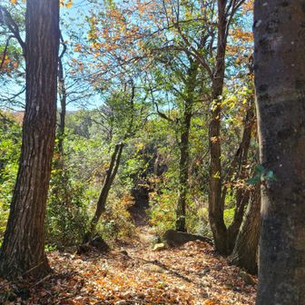 鏡山へいくには、こちらへ