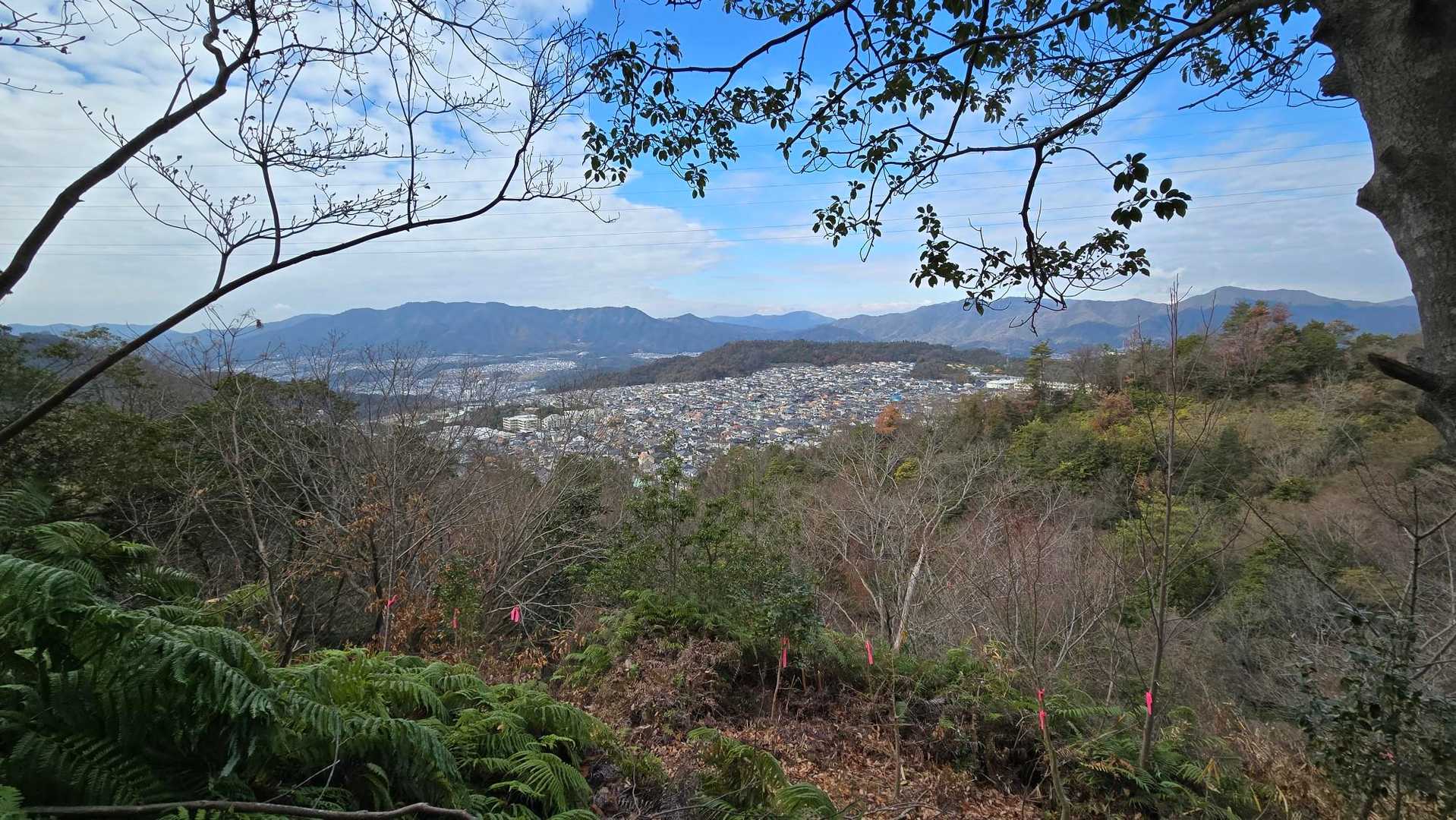 鬼ヶ城山⛰️何の目的か分からないけど、伐採がすごい…😔
ここはこんなに景色良かったかな❓