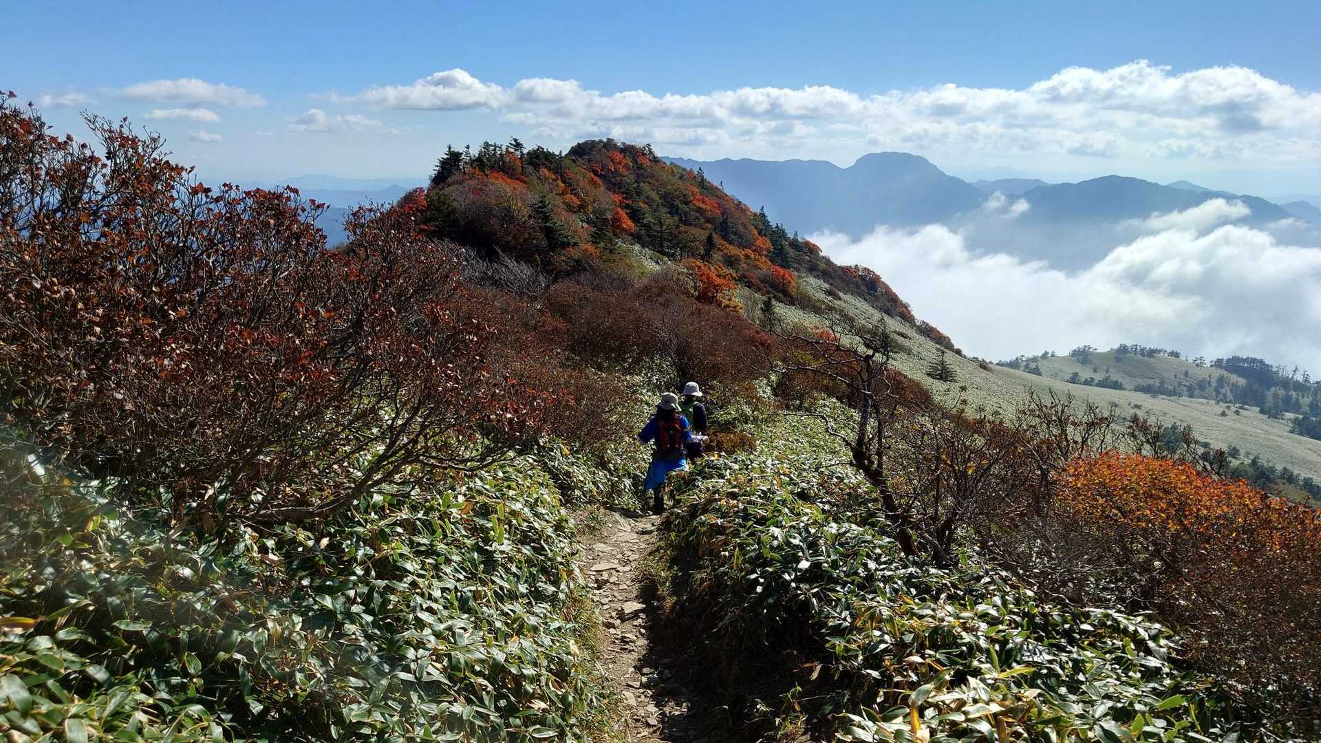 瓶ヶ森登山口発着｜四国最高峰を眺望する瓶ヶ森 周回コースの写真