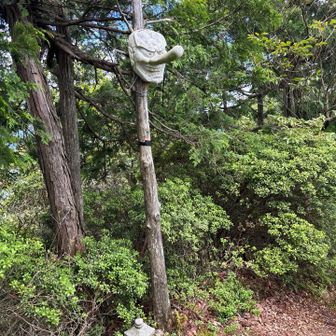 大天狗岩山山頂。