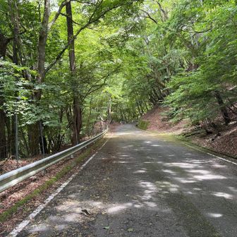あとはずっと舗装路？