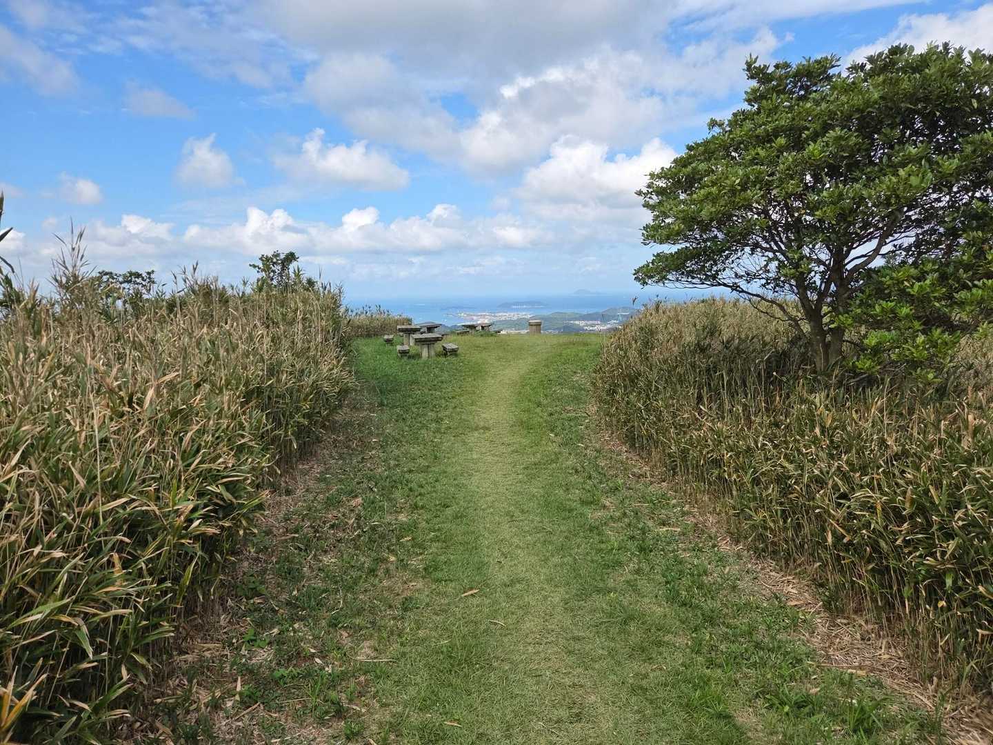 この先の景色を早く見たくて急ぎ足になります(笑)