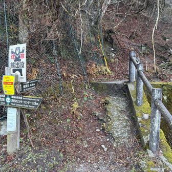 ここから。🐻出ないよね？