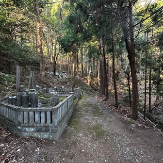 萬松寺のほうへ下りてきました