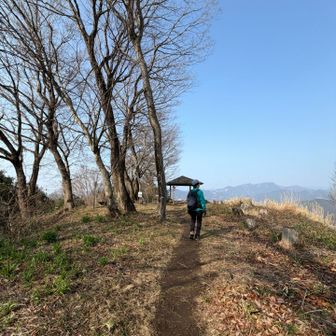 ヴィクトリーロードw