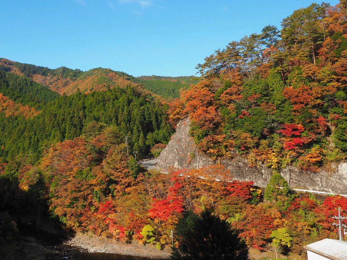 登山口周りの紅葉