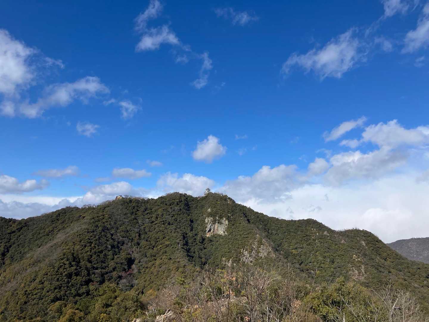 鷹巣山 往復コースの写真
