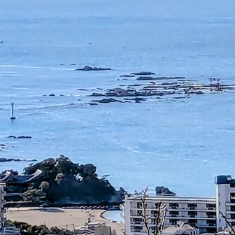 岩礁に鳥居⛩️が有りますか分かりますか？
