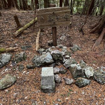 探して探して三角点