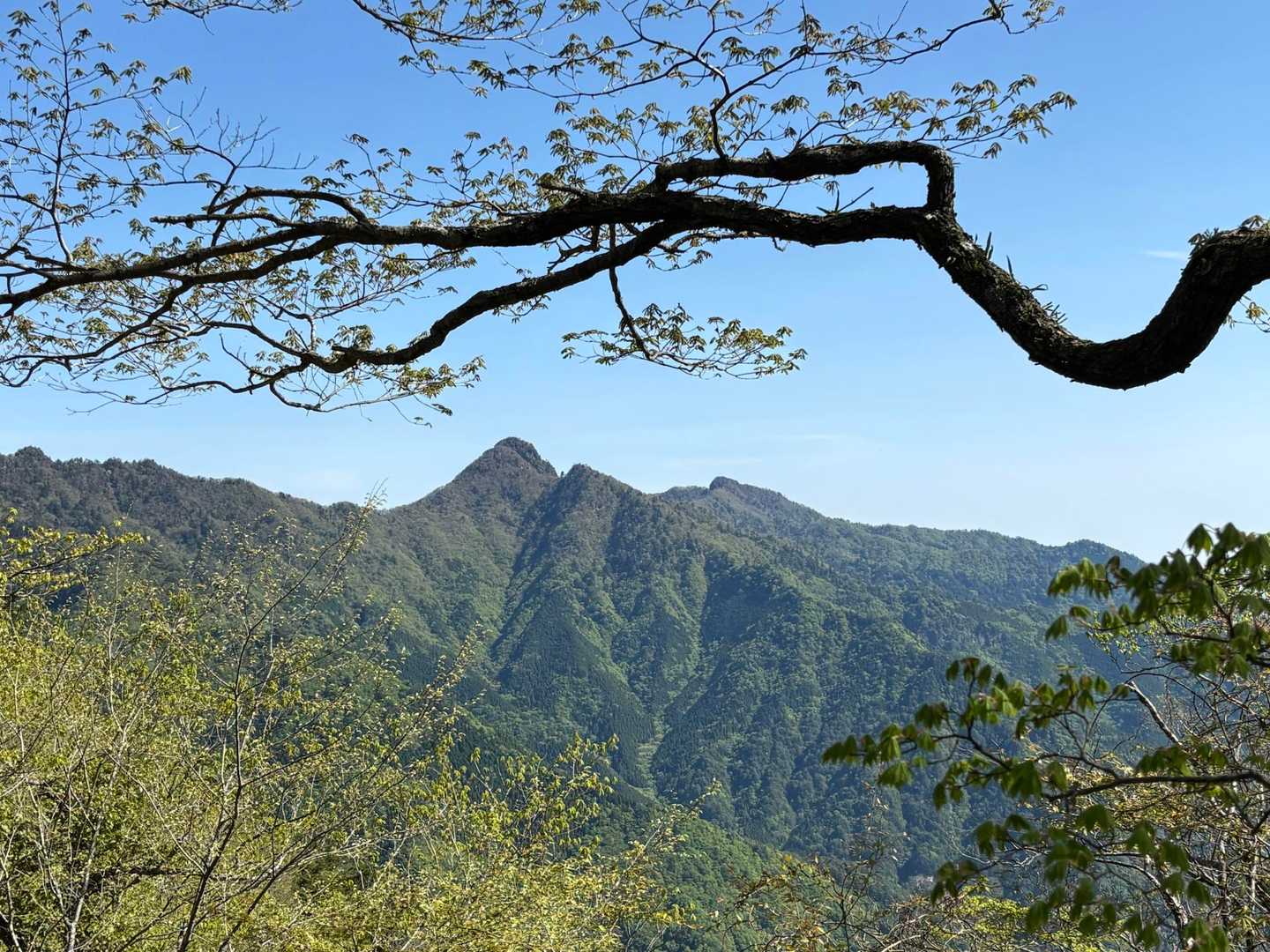 尾平トンネル登山口-尾平越-古祖母山-障子岳 往復コースの写真