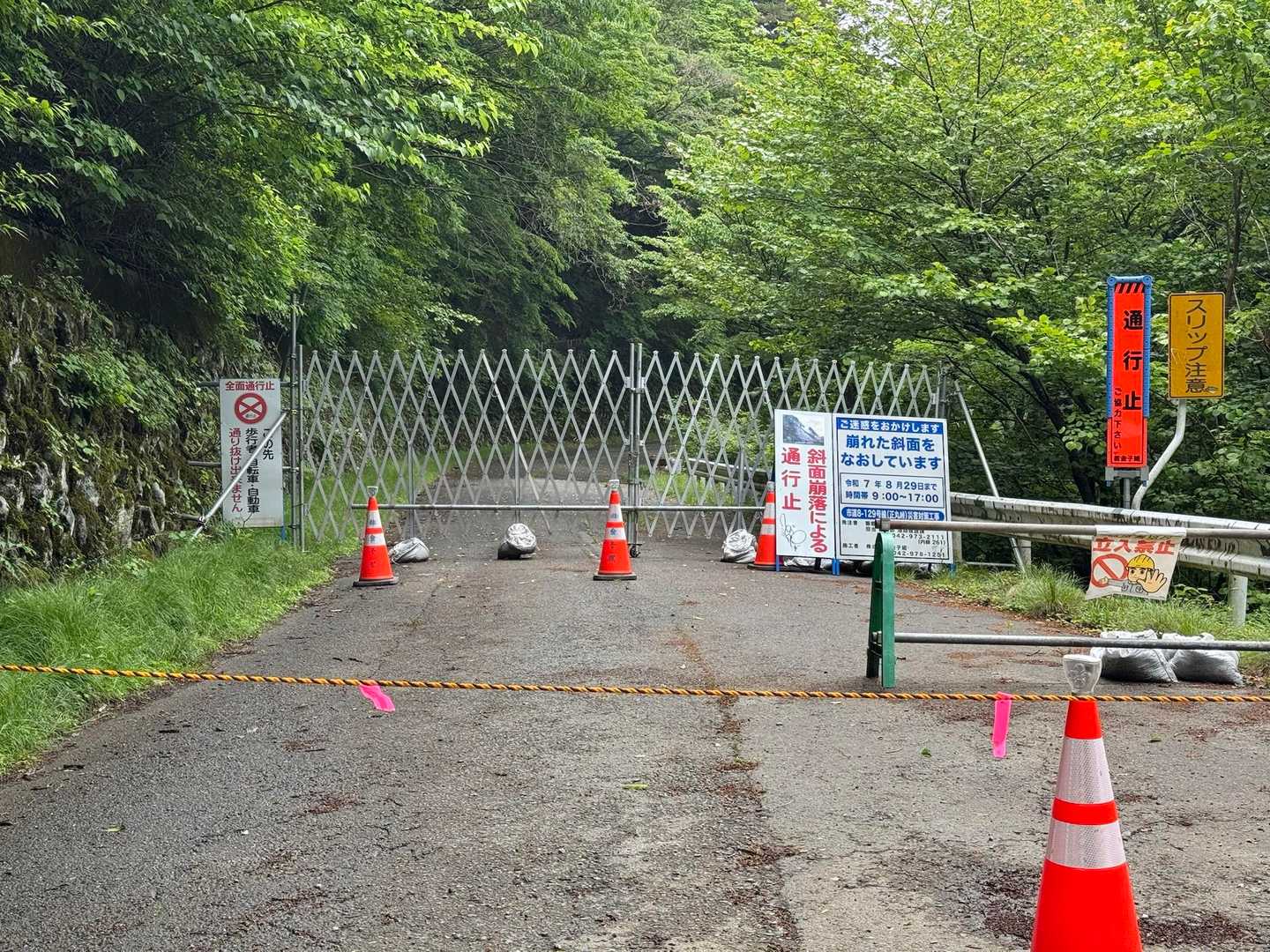 名栗げんきプラザ方面は土砂崩れのため通行止め❌
看板を見ると、工事は8月29日までと書いてありました
