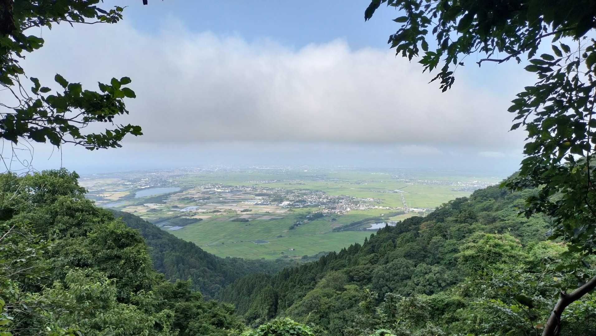 景色見えるように木を切ったんだね💚