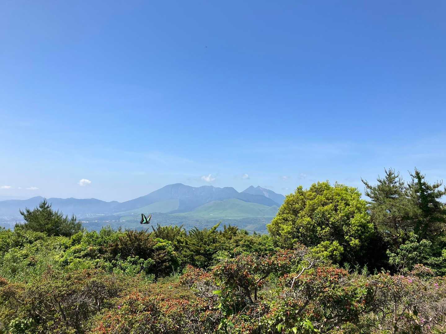 鶴見岳と由布岳⛰️