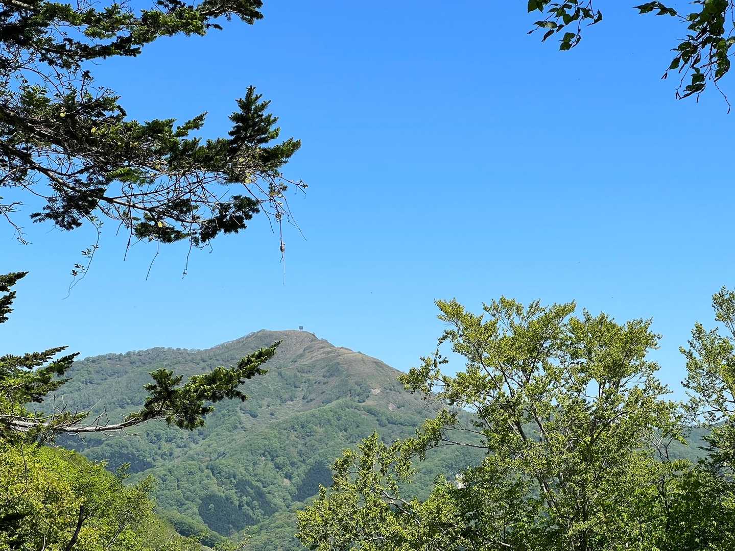景色が開けて最初に見えた二股岳⛰

反射板も見えてます👀