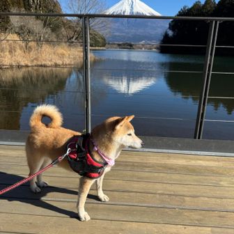 さつきちゃんもご満悦❤️