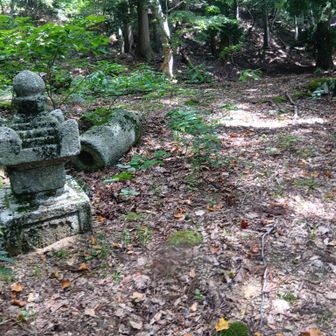 僧坊が120もあったらしい鶏足寺跡
滋賀県には山岳寺院跡が多いような気がする。ここはかなり標高が高いから(800m)冬はさすがに厳しいだろう。
