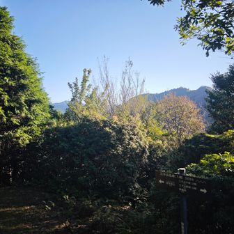 頂上から向こうに見える山。
錫杖ヶ岳？明星ヶ岳？