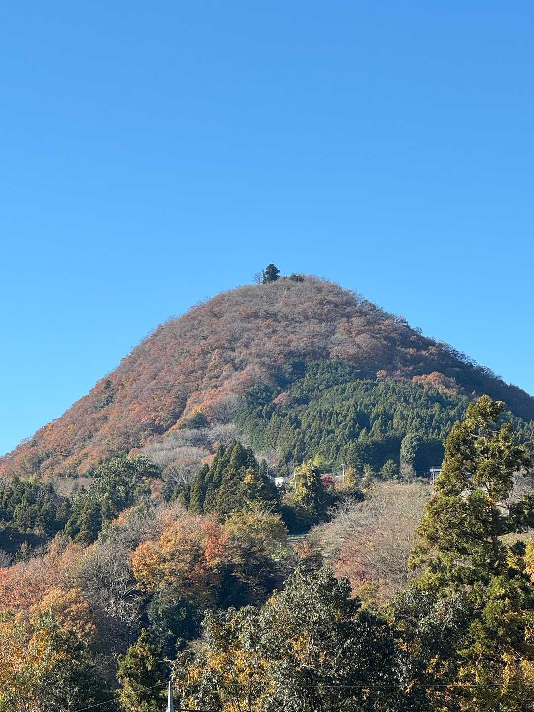 下山後に見えた要害山
山頂の一本杉が可愛い💕
山頂にいる時は気づかなかった