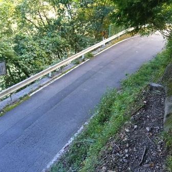 名栗湖外周道路に出て山行終了です。