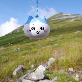 ちゃも