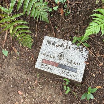 まだ半分⁉︎