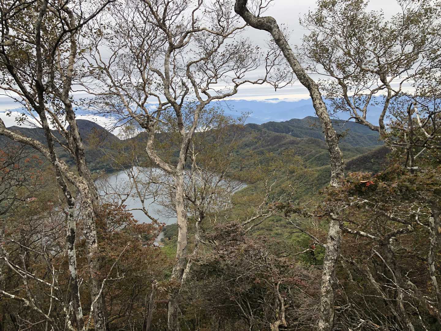 大沼
