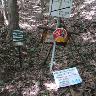 下山は駐車場まで最短コースで降ります