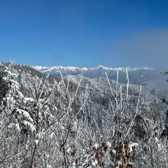 今年登った黒部五郎とか