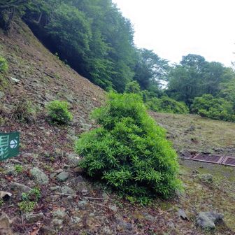 国見山の方へ行ってみることに