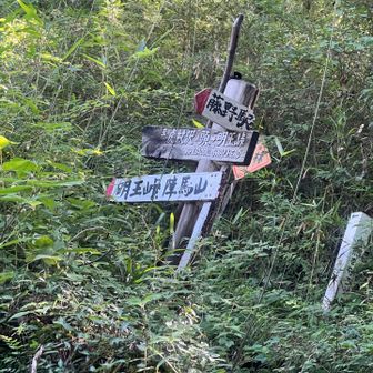 ここから住宅地とトンネル経由で駅に。
