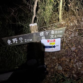 さて、頑張りましょ