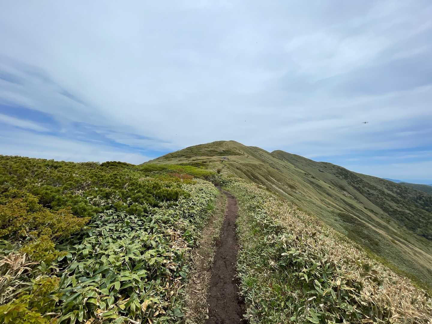 平標登山口-松手山-平標山 往復コースの写真