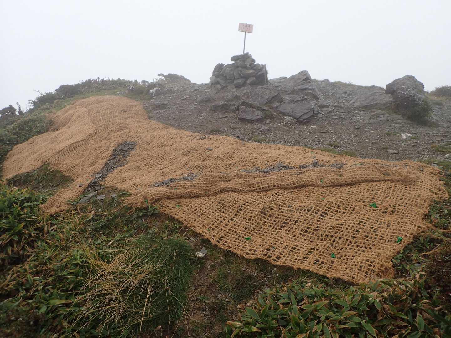 天狗塚登山口-第1ピーク-天狗塚 往復コースの写真