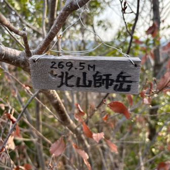 ２０座目 １９座目の西茨尾山は素通りしてしまいました